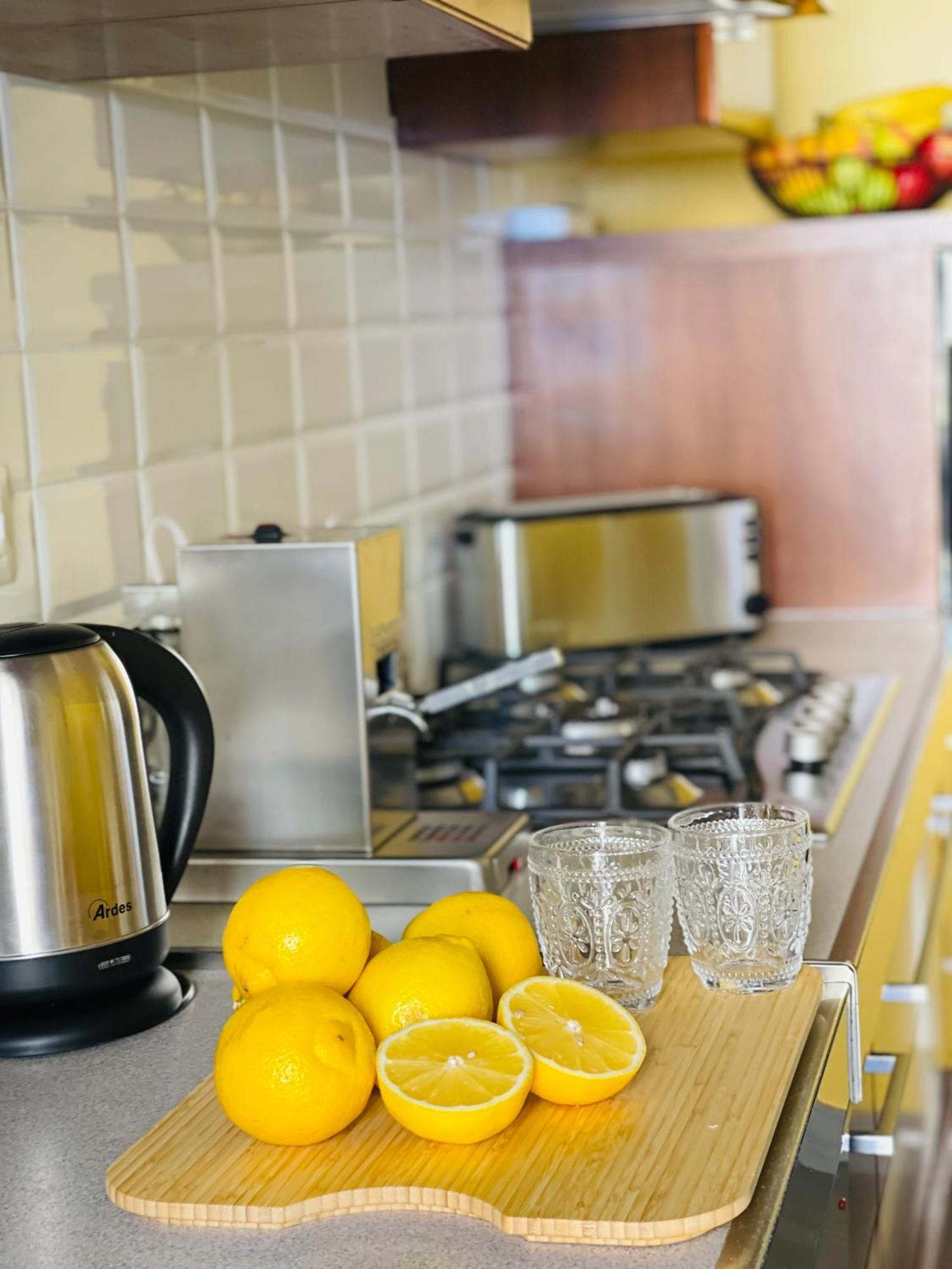 Cozy Apartment Gianicolense 3Bdr 罗马 外观 照片